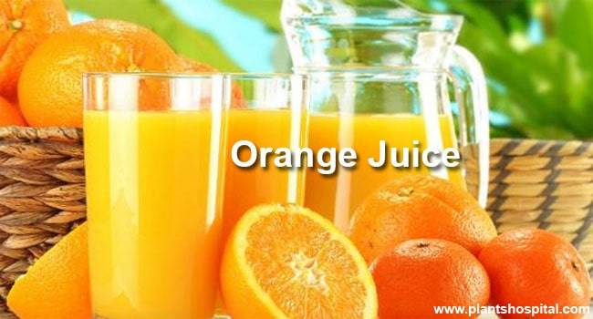 WHAT ARE THE BEST ORANGES FOR JUICE