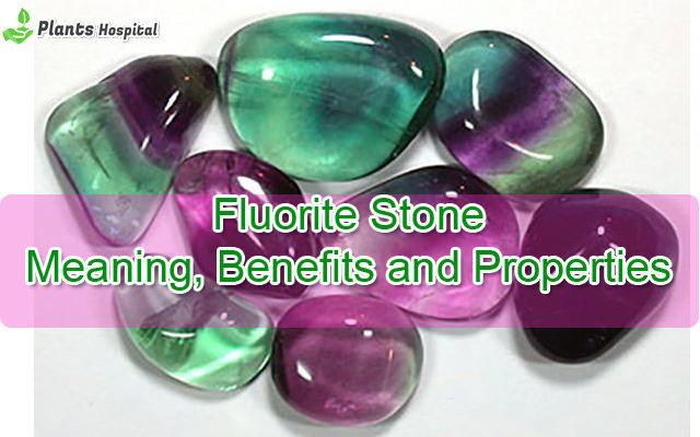 Fluorite-Stone-Benefits