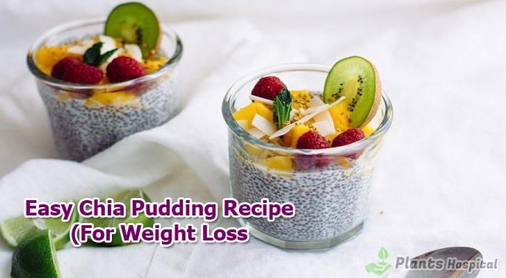 chia-pudding-recipe