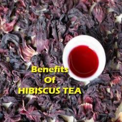 hibiscus-tea-benefits