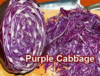 Purple-Cabbage