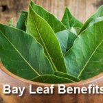 bay-leaf-benefits