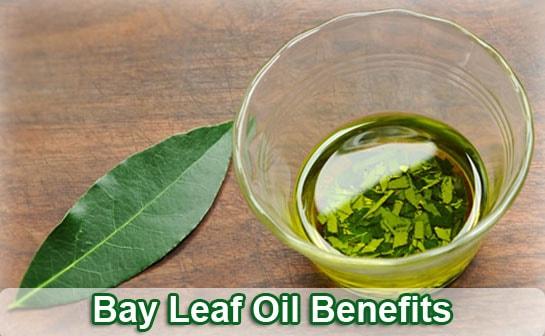 Bay Leaf Health Benefits Uses Side Effects And Warning Laurel