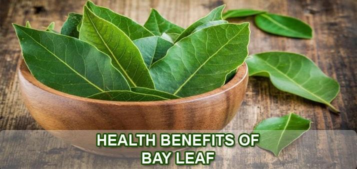 bay-leaf