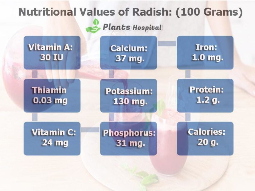 Nutritional-Values-of-Radish