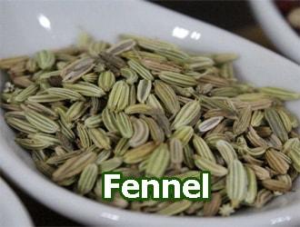fennel