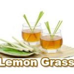 lemon grass
