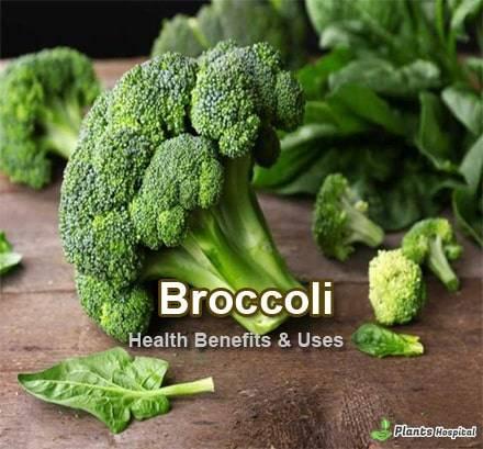 broccoli