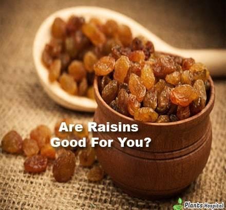 Raisins