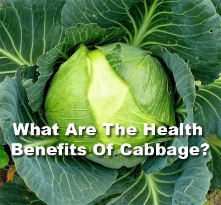 cabbage