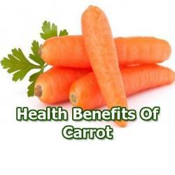 carrot