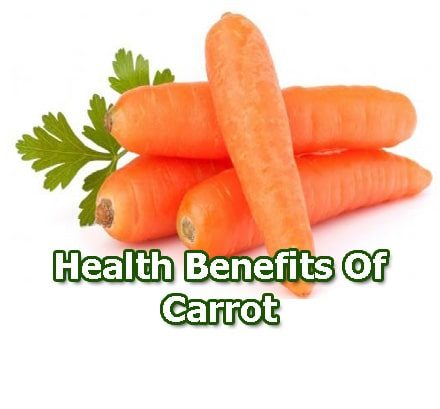 carrot