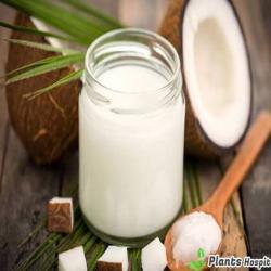 Coconut