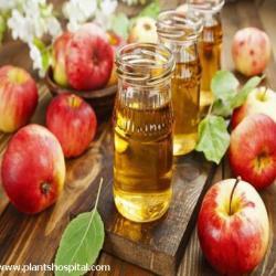 apple cider vinegar