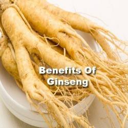 ginseng