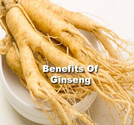 6 Best Health Benefits Of Ginseng And Ginseng Tea (Panax