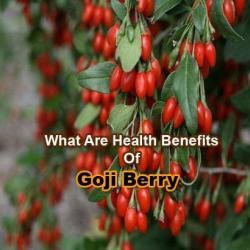 goji berry