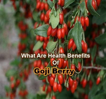 goji berry