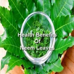 neem leaves