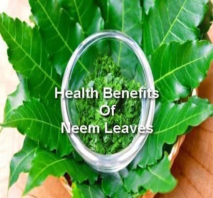 neem leaves