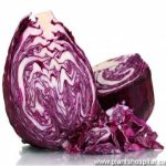 purple cabbage