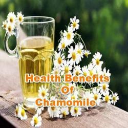 Chamomile