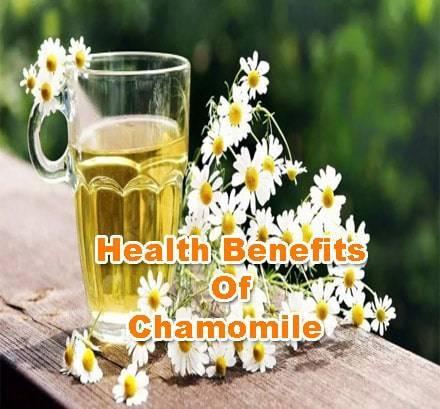 Chamomile