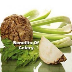 celery