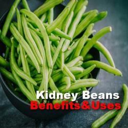 kidney beans