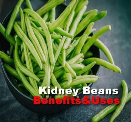 kidney beans