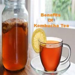 kombucha tea