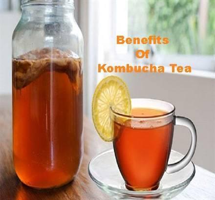 kombucha tea
