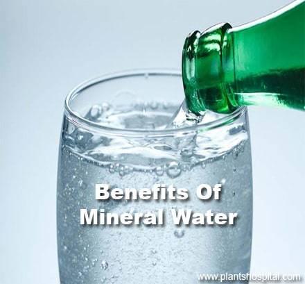 mineral water