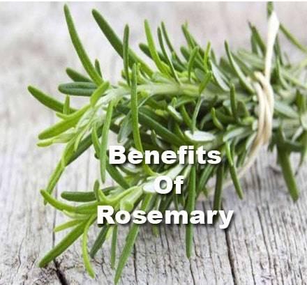 rosemary