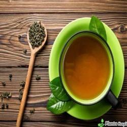 senna tea