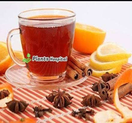 Cinnamon Tea
