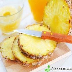 Pineapple