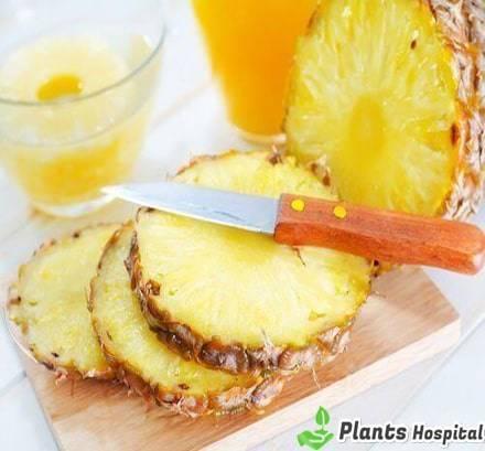 Pineapple