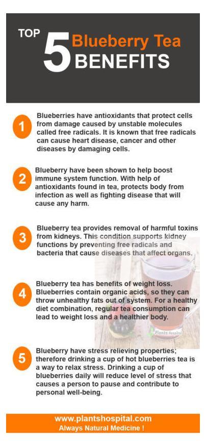 Blueberry Tea: Top 10 Blueberry Tea Benefits for the Heart ...