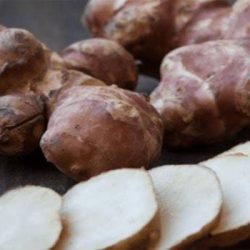 Jerusalem artichoke