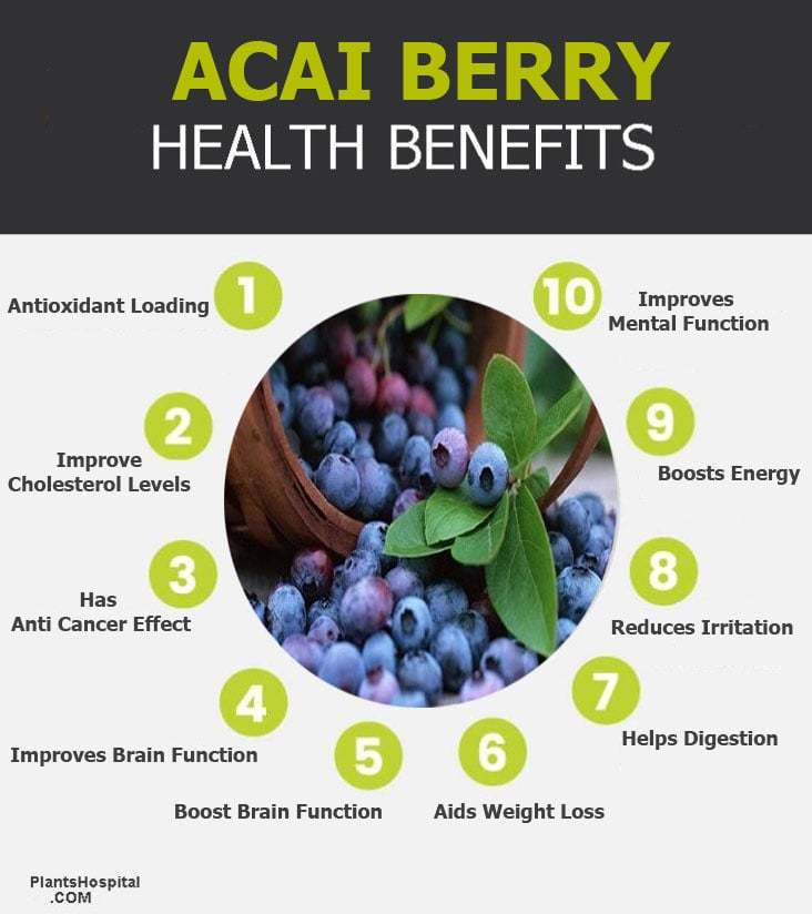 Acai berry benefits