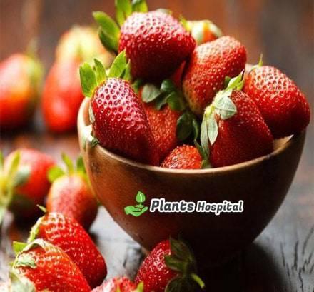 strawberry