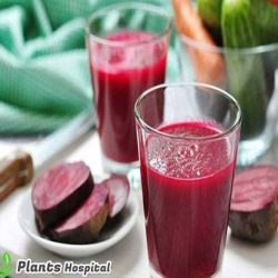 turnip-juice