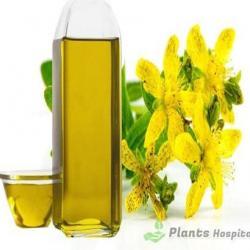 St. John’s Wort Oil