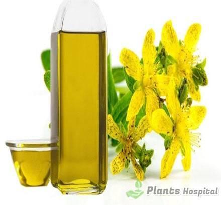 St. John’s Wort Oil