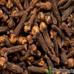 cloves
