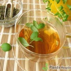 marjoram-tea