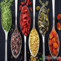 medicinal plants