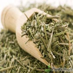 thyme