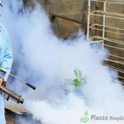 Fumigation
